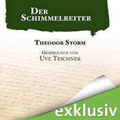 Theodor Storm - Der Schimmelreiter